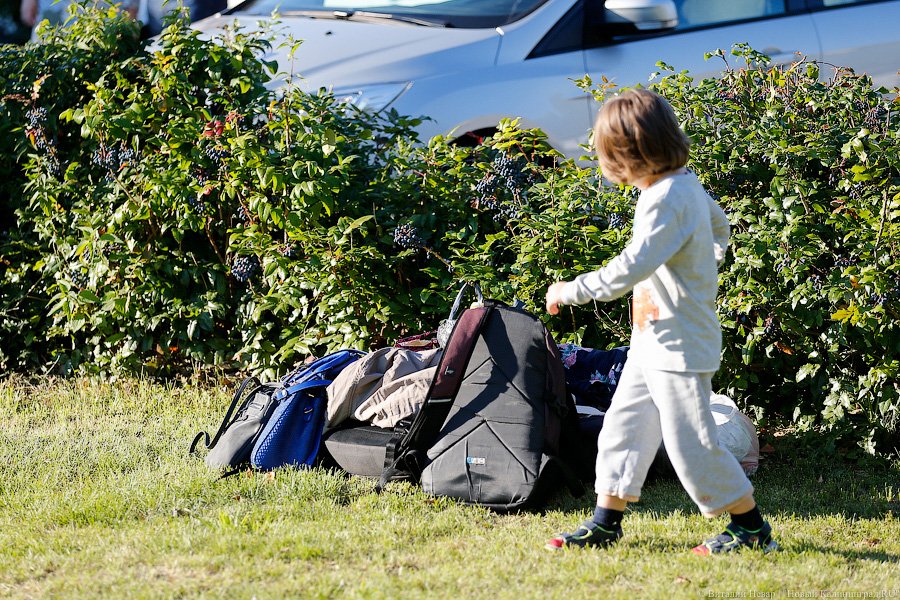 «Каждый суслик — агроном»: о чем говорил губернатор с жителями в прямом эфире