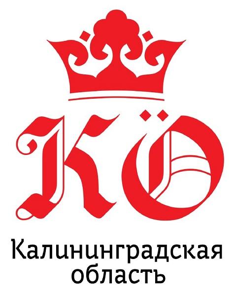 Студия Артемия Лебедева разработала бренд Калининградской области (фото)