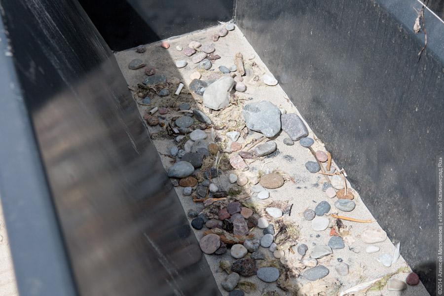 Машина «по потребности»: польский агрегат начал чистить песок на пляже Зеленоградска