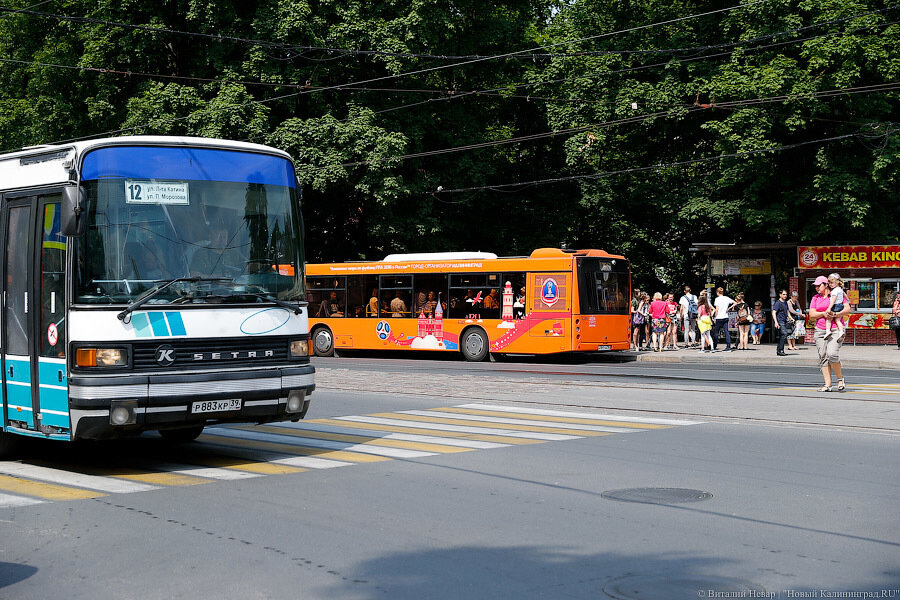 Власти Калининграда отказались от закупки новых автобусов в этом году