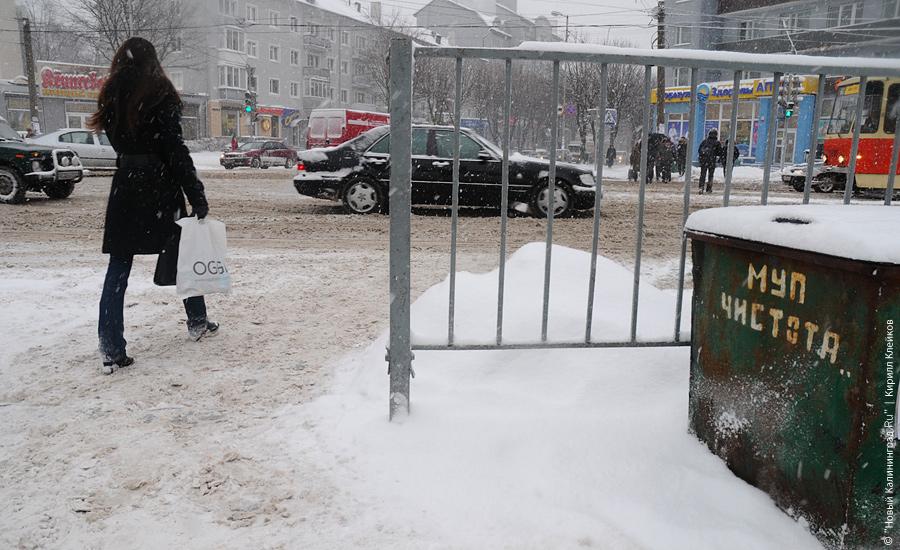 "Нападение белых мух": фоторепортаж "Нового Калининграда.Ru"