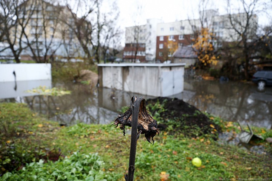 Водный мир на Орудийной: в Калининграде тонет в болоте жилой дом