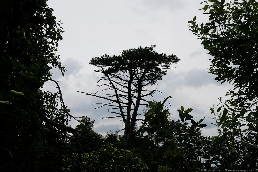 Страх и безысходность в де Толли: жизнь старинной усадьбы под Черняховском