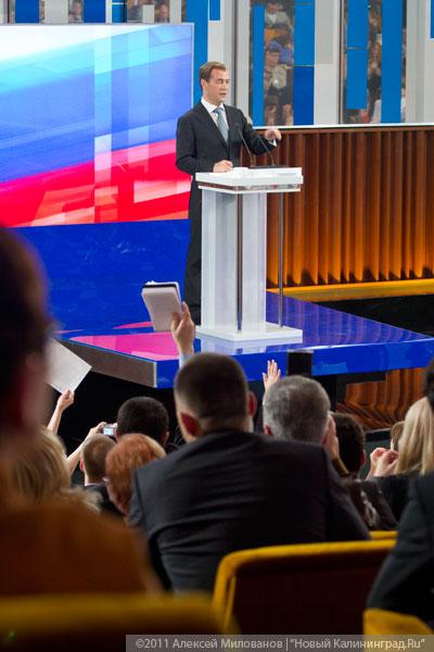 "Олень на 100%": фоторепортаж "Нового Калининграда.Ru"