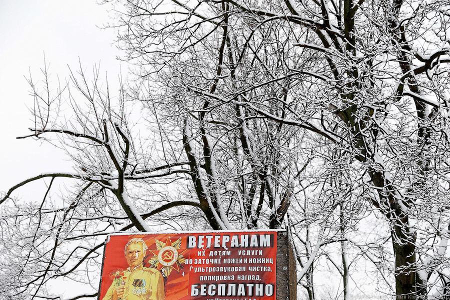 Белый снег, серый лёд: зима в Калининграде (фото)