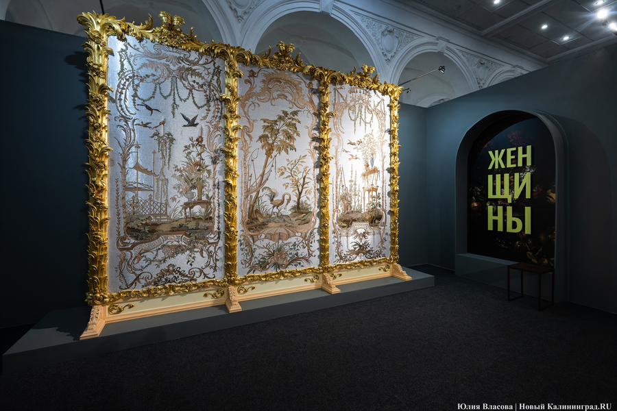 Фото: Юлия Власова / «Новый Калининград»