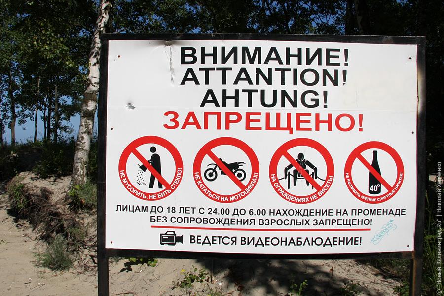 «Антимусорный патруль»: фоторепортаж «Нового Калининграда.Ru»