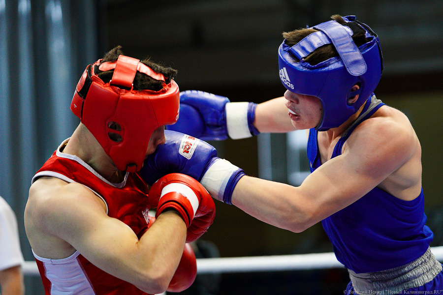 Очередной нокдаун: в Калининграде прошёл международный турнир по боксу «Янтарные перчатки»