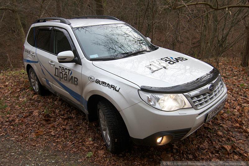 «Форест Гамп»: тест-драйв нового Subaru Forester