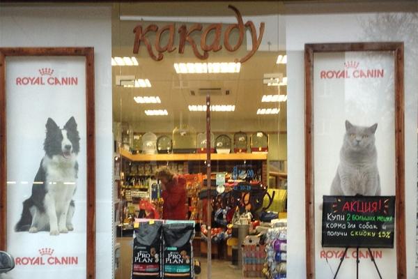 Новогодняя акция в зоосети «Какаду»: весь декабрь действует скидка 10%