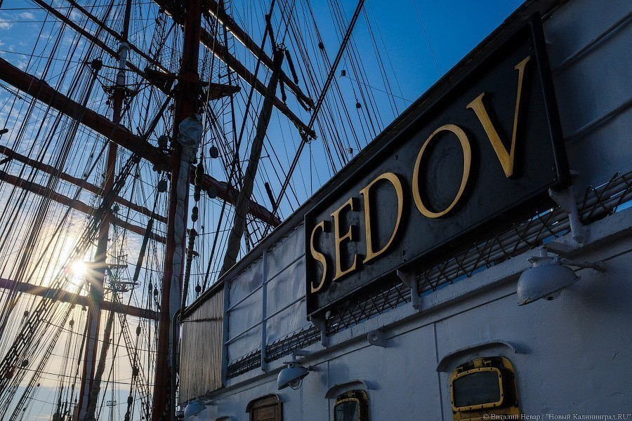 «Мама поседеет, папе пофиг»: «Крузенштерн» и «Седов» готовятся к кругосветке (фото)