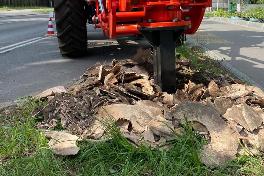 В Калининграде начали выкорчевывать пни вдоль дорог (фото)