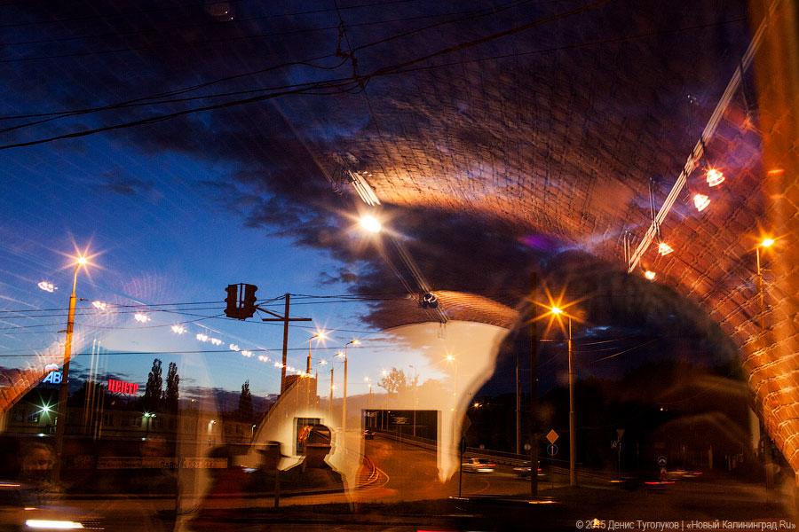 «Каждый год мы с друзьями…»: 5 фактов об акции «Музейная ночь-2015»