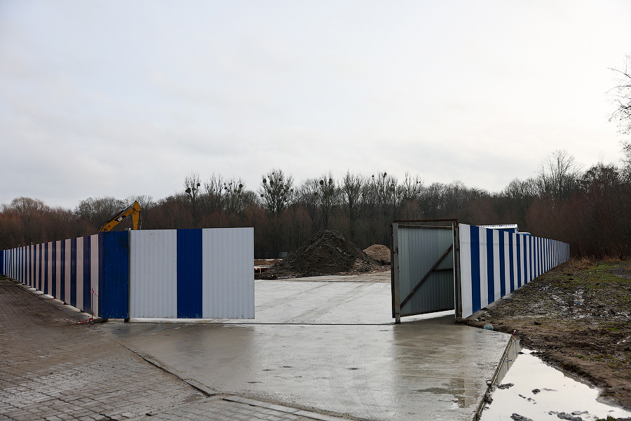 Минус 1,5 тыс. деревьев: на ул. Невского начались вырубки из-за строительства кампуса БФУ (фото)