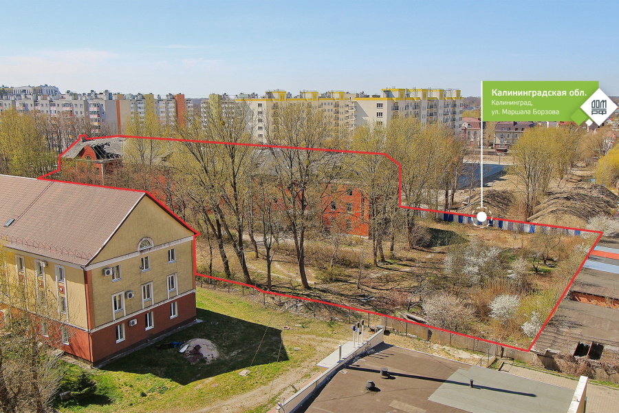Компании «Шелест» разрешили вырубить 34 дерева на ул. Ломоносова