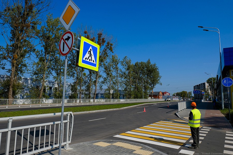 Гурьевский глава пообещал обрезать или «убрать» деревья вдоль Шатурской