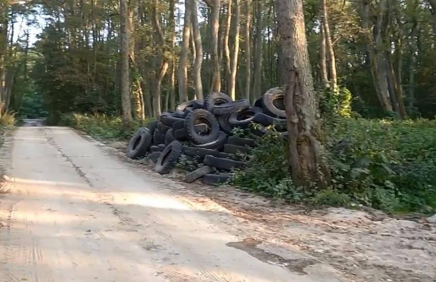 На Куршской косе нашли свалку автопокрышек