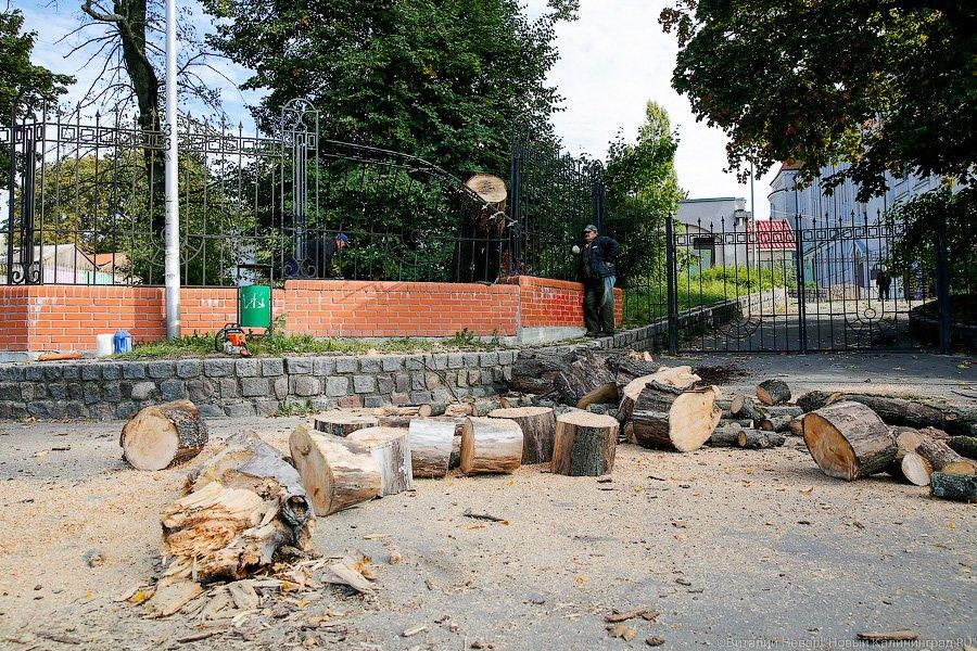 Блеск и нищета: что происходит с набережной Нижнего озера в Калининграде