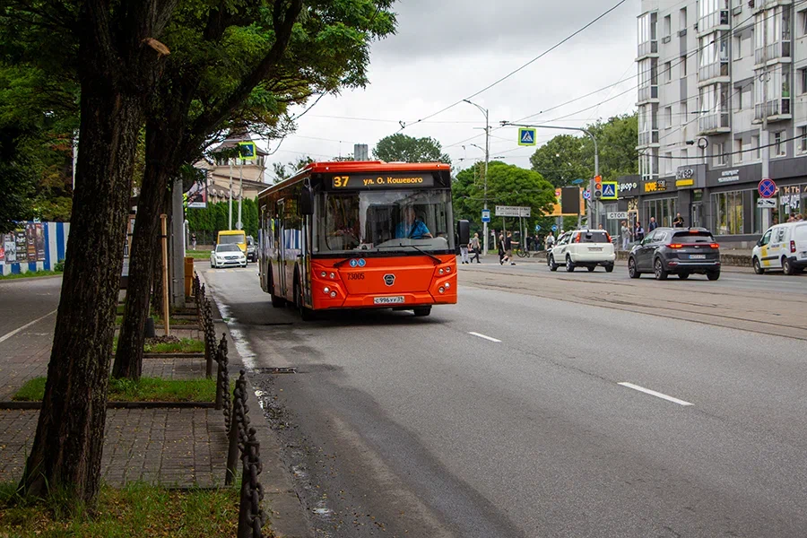 Не более одной пересадки: в Калининграде хотят ввести стандарт транспортного обслуживания