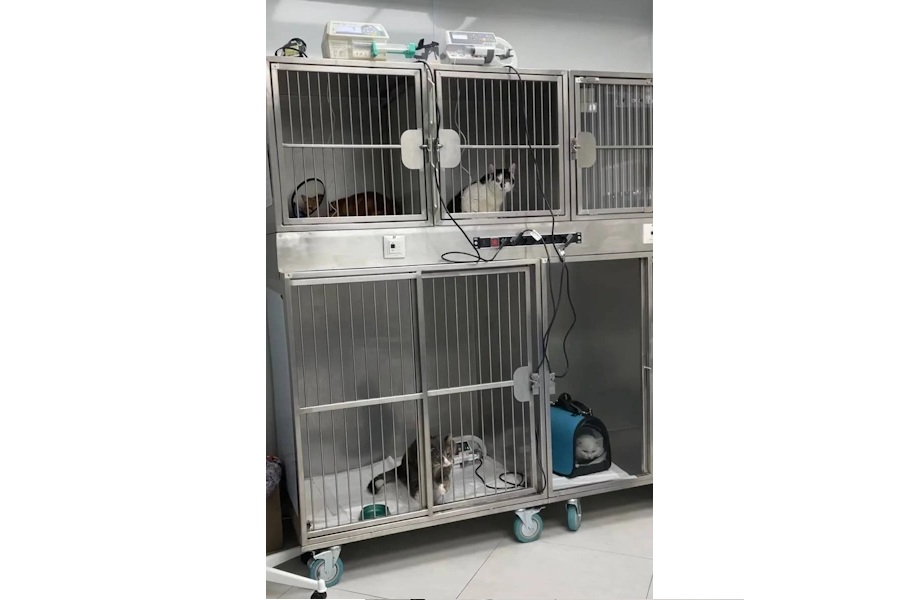 ГБУВ КО «Областная СББЖ»