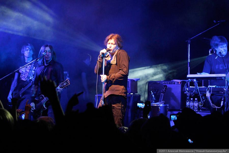 «Фурсенко на грани просвещения»: фоторепортаж «Афиши Нового Калининграда.Ru»