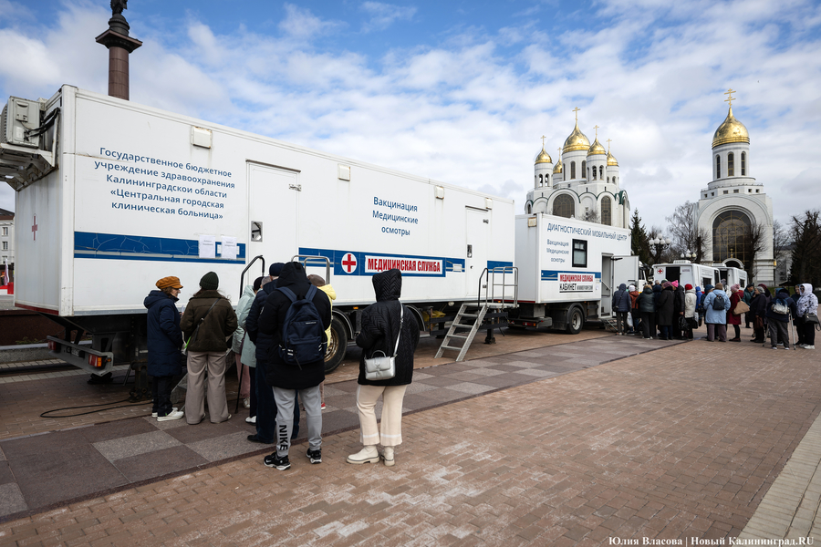 От зарядки до анализов: как в Калининграде прошёл Всемирный день здоровья
