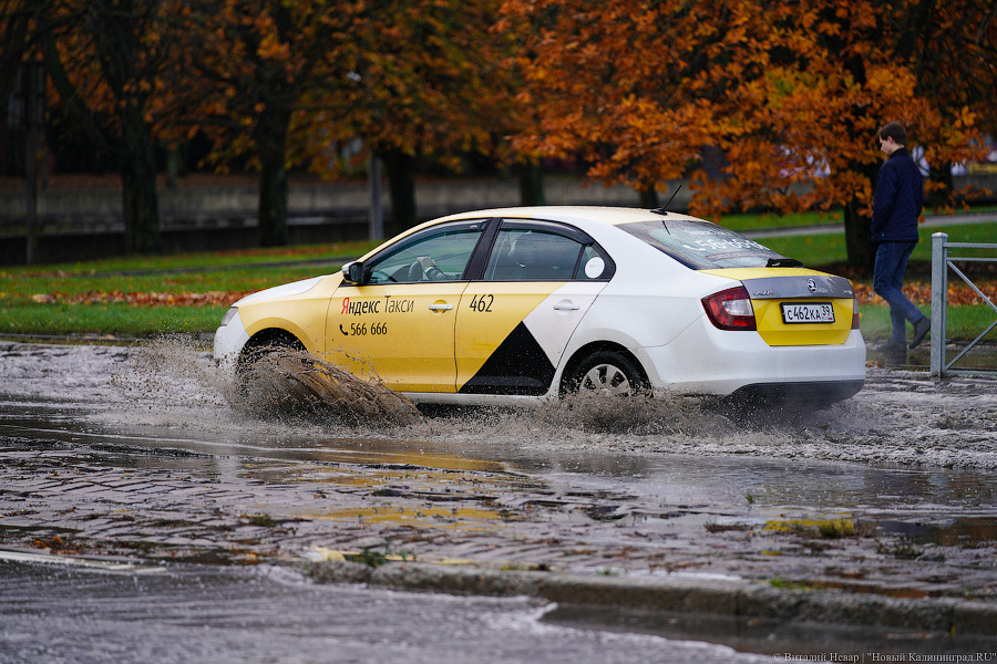 Другой берег улицы: Калининград затопило после шторма (да, опять)