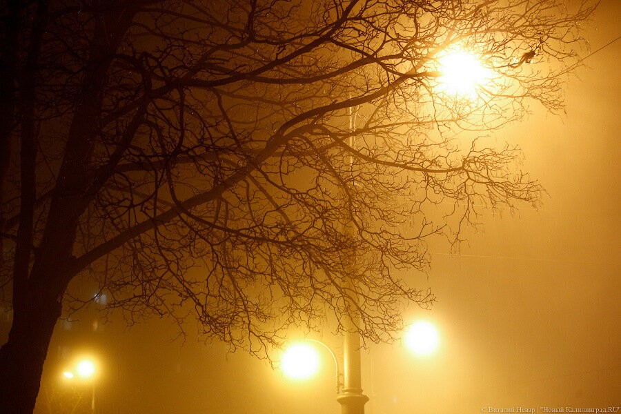 Климатолог заявила о нехарактерной погоде для запада России 