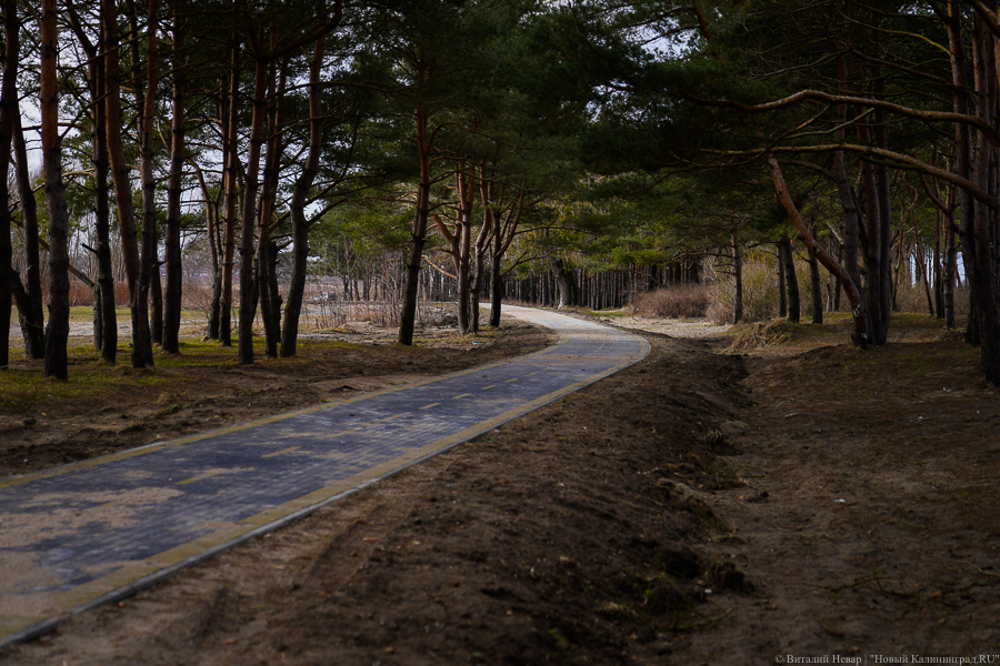 Велодорожку от Куршской косы до Приморья обещают открыть к майским праздникам