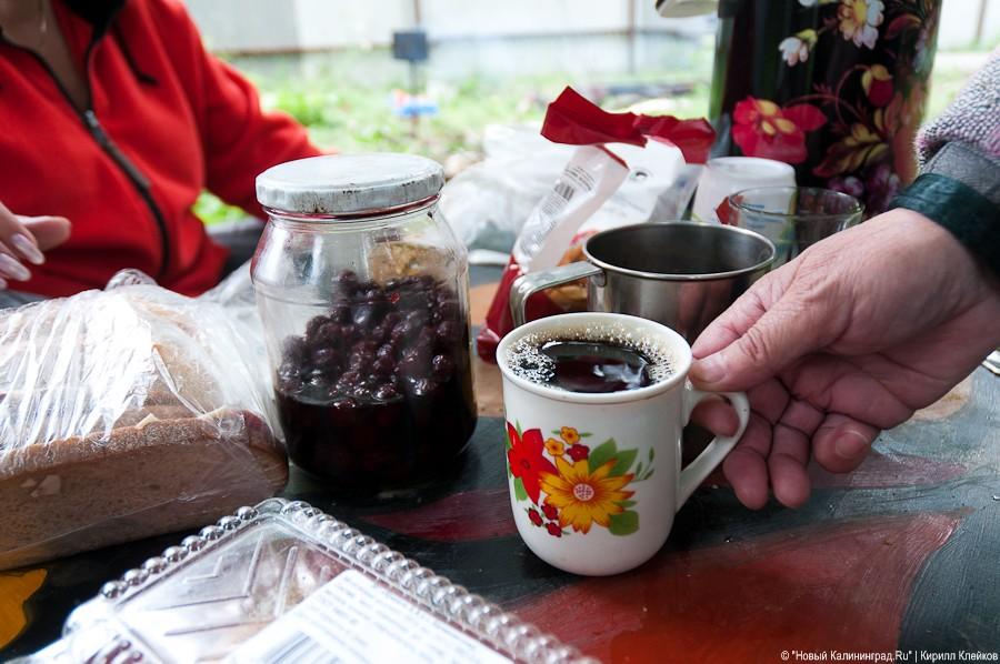 Пила vs. палатка: фоторепортаж "Нового Калининграда.Ru"