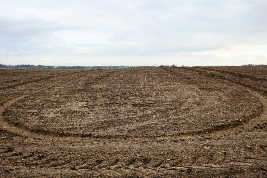 Фото — Виталий Невар, «Новый Калининград.Ru»