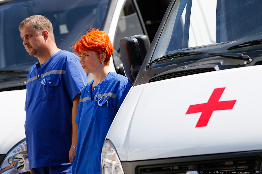 В Светлогорске под колесами «Рено» погиб пешеход, упавший на дорогу с тротуара