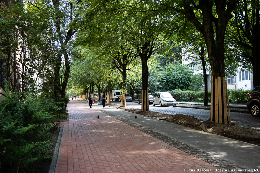 «Проект относительно старый»: в мэрии Калининграда пояснили, почему на Красной появился клинкер