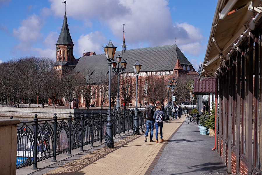 Дефекты для туриста: состояние Набережной Ветеранов в Калининграде (фото)     