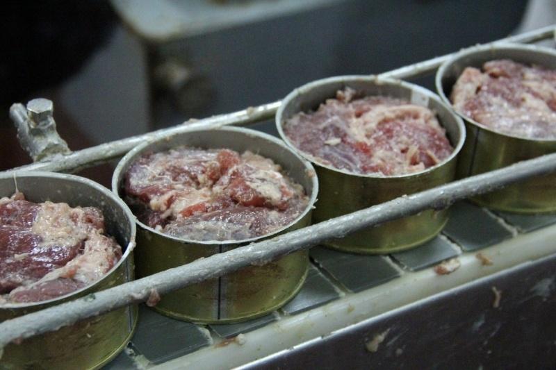 Полиция во второй раз обнаружила нелегалов на гвардейском консервном заводе (фото)