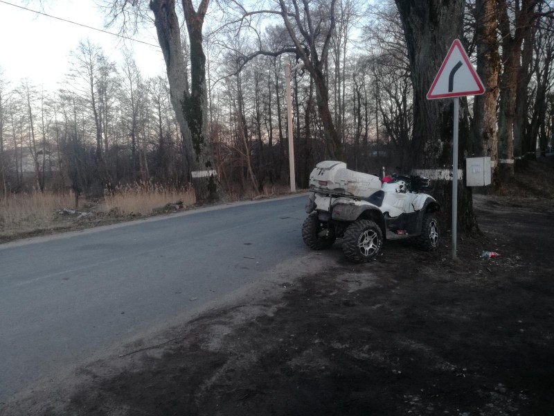 В области водитель квадроцикла врезался в дерево и попал в больницу (фото)