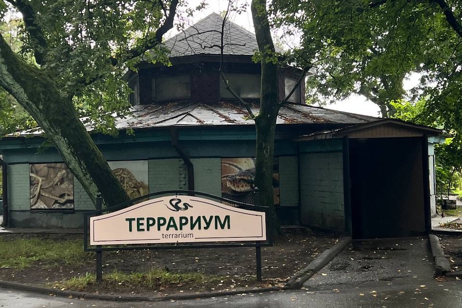В Калининградском зоопарке из-за протекающей крыши закрыли террариум (фото)