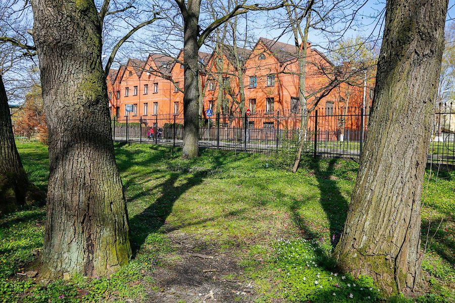 Пастораль ручной работы: весенний Ботанический сад