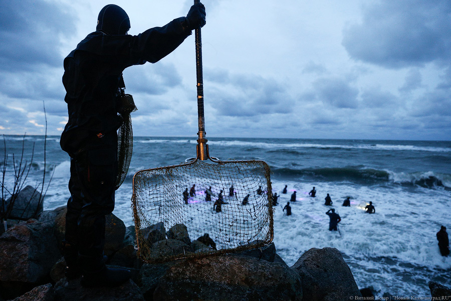 На берегу Балтийского моря туристка забирала янтарь из сачков старателей