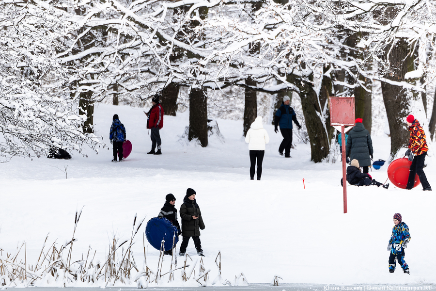 После двадцати лет ожидания: как Калининград встретил Новый год со снегом (фото)