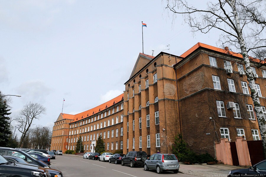 Фирма Высоцких снова получила правительственные контракты на проведение соцопросов