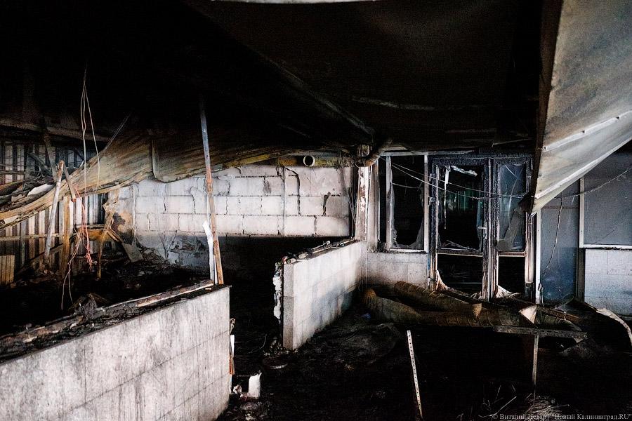 Цветы, гарь и копоть: пепелище пожара в торговом центре Калининграда (фото)