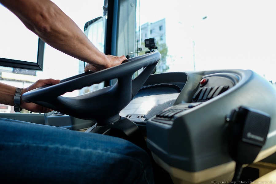 Автобус с розеткой: как в Калининграде испытывают новый вид транспорта