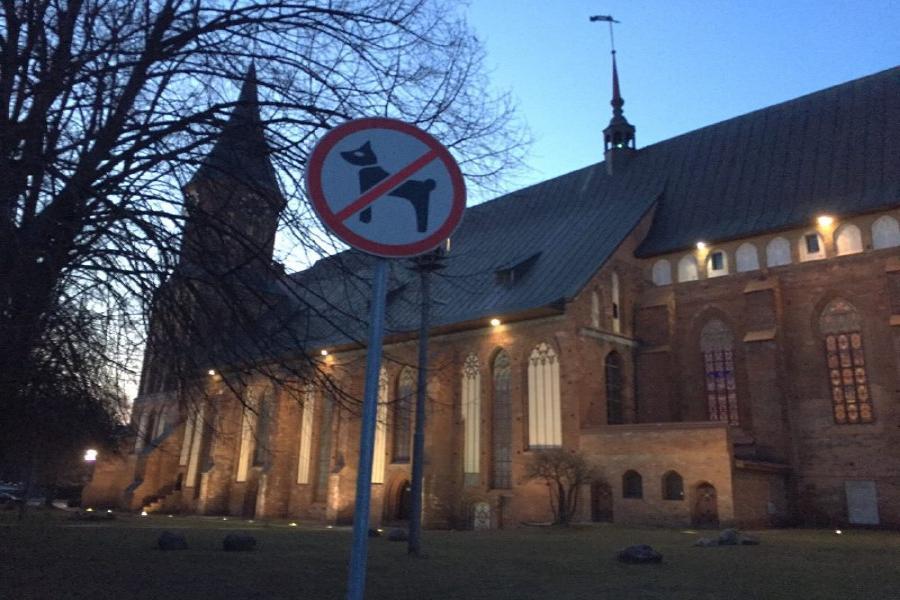 У Кафедрального собора появились таблички, запрещающие выгул собак (фото)