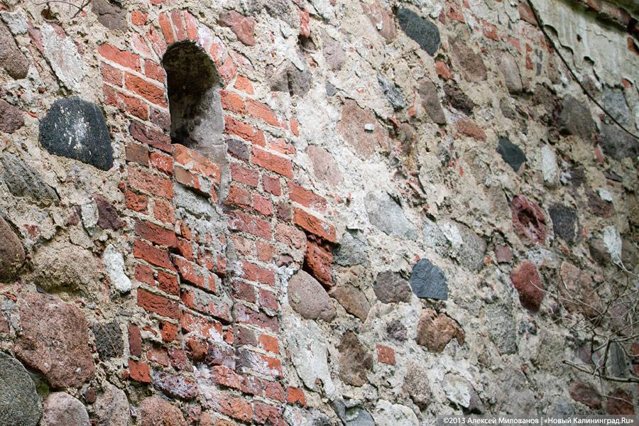 Легенды и лягушки: кирха в поселке Ново-Московское обрастает мхом и преданиями