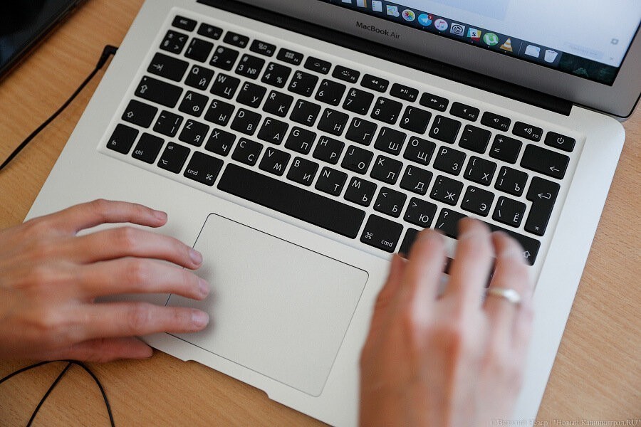 Путин предложил заменить «Википедию» энциклопедией с «достоверной информацией»