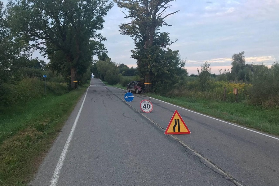 В Гусевском районе автомобиль врезался в дерево, погиб пассажир (фото)