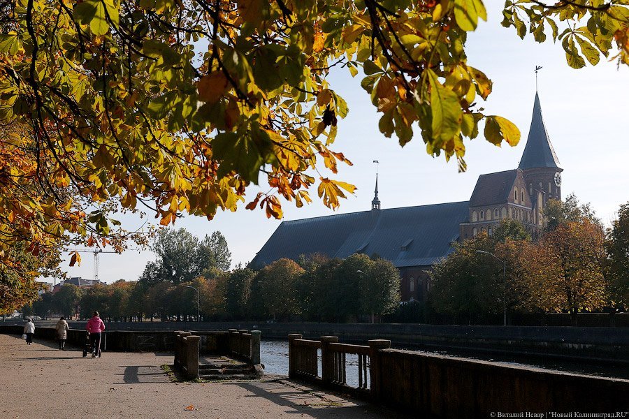 Фото — Виталий Невар, «Новый Калининград.Ru»