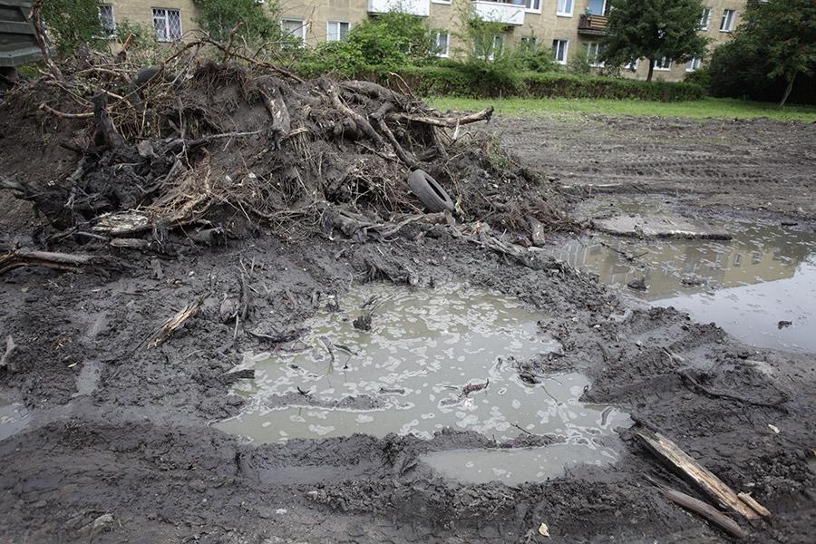 На ул. Озерова вырубили 16 тополей, участок разравнивает экскаватор (фото)