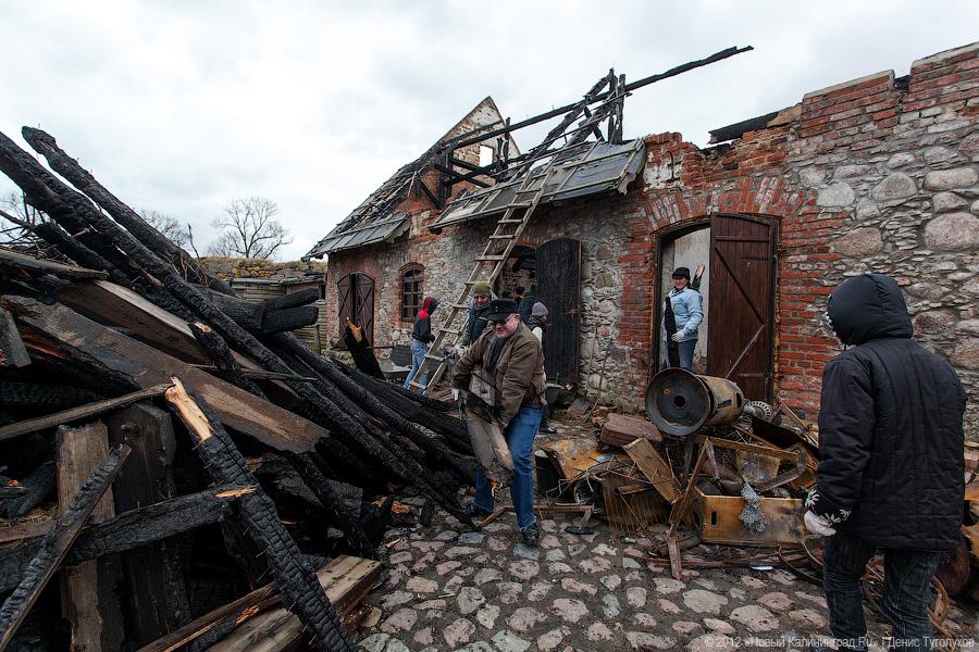 «Шаакен, волонтеры и кот Воровай»: фоторепортаж «Нового Калининграда.Ru»